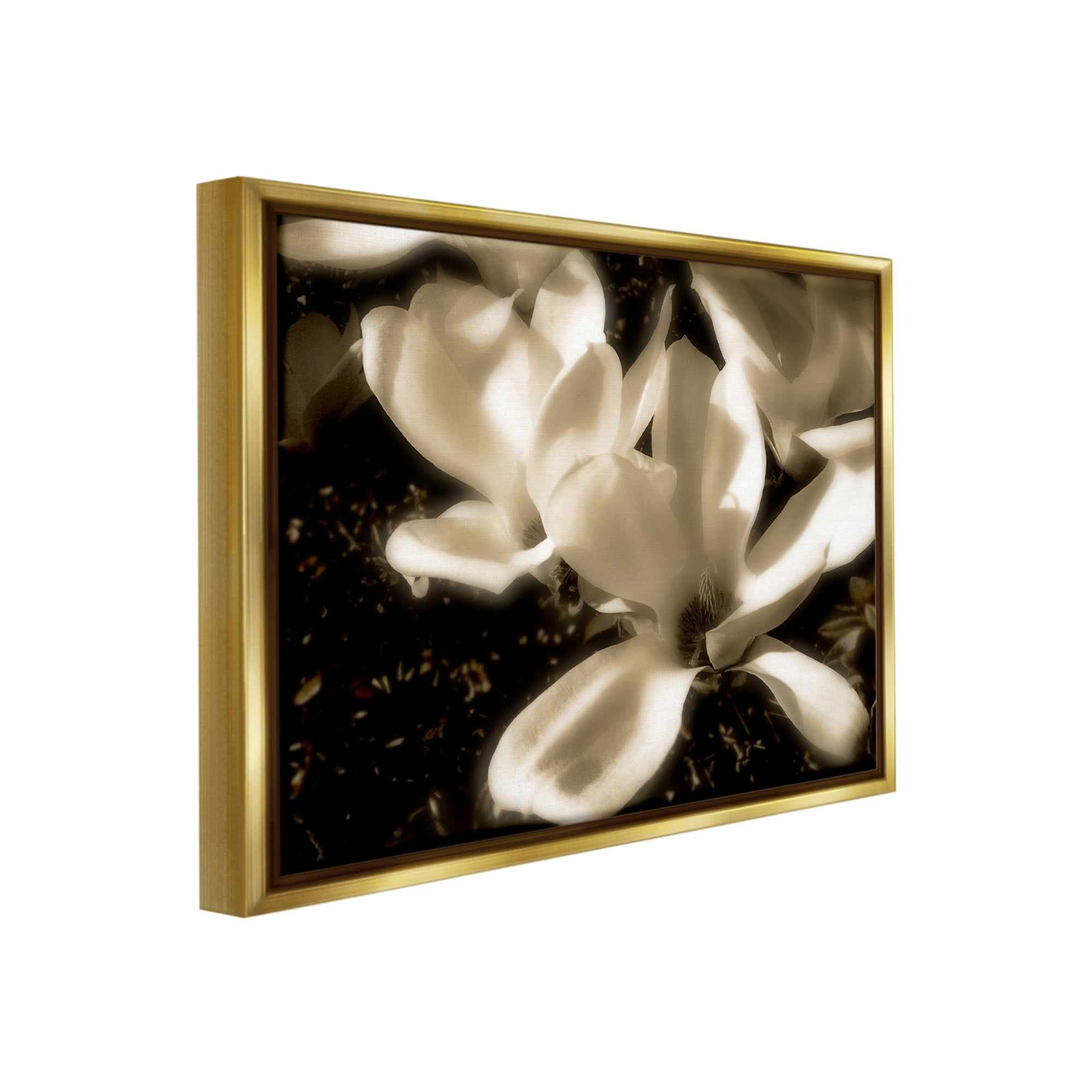 Stupell Industries Plant Petals in Nature Botanical & Floral Photography Gold Floater Framed Canvas Art Print Wall Art, 21 x 17