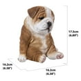 thumbnail image 5 of Sitting Sleepy Bulldog Puppy, 5 of 6