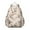 Chihuahua and Flower, variant on Chihuahua and Flower Backpack for School,Cute School Bag,Schoolbag with Adjustable Shoulder Straps & Padded Back,13.4"x11"x4.7"