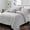 King, variant on Blue/Silver Comforter Set Twin/Twin XL Size Metallic Print Glitter Bed Comforter Cute Shinny Bedding Sets for Teen Girls Kids, 3 Piece (1 Pillowcase, 1 Decorative Pillow Sham)