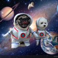 thumbnail image 3 of Pet Transformation Into an Astronaut Stands for A Halloween Funny Pet Clother Standing Clothes for Cat Astronauts Pet Costume Clother Pet Clothes Hangers Wood, Silver, 3 of 5