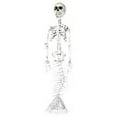 thumbnail image 3 of Mermaid Skeleton*30 In, 3 of 3