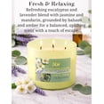 thumbnail image 2 of Eucalyptus Jasmine Lavender ted Candle | 3 Wick Large Soy Candle for Home 15.8oz | Calming Aromatherapy Spa Candle | Strong t, Long Lasting, Clean Burn | Stress Relief Gift for Women & Men, 2 of 3