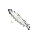 thumbnail image 5 of Stainless Steel Fish Descaler, Double Row Teeth, 1 pc, 5 of 11