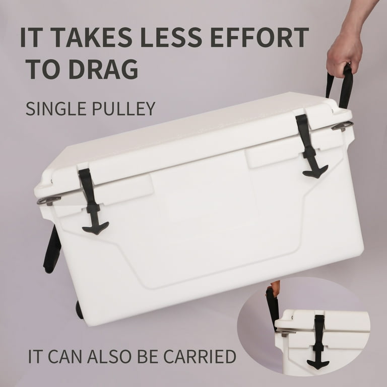 GkgWuxf Insulated Cooler - Refrigeration Box With 6 Ice Packs - 6l