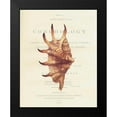 thumbnail image 2 of Brookes, Samuel 15x18 Black Modern Framed Museum Art Print Titled - Shell, Strombus Lambis, 2 of 5