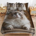 thumbnail image 6 of 3 Pcs Soft Bedding Set, Includes 1 Duvet Cover with Zipper And 2 Pillow Shams,Cute Persian Cat Twin(86"x70"), 6 of 8