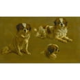 thumbnail image 2 of Circle of Maud Earl 24x16 Black Ornate Framed Double Matted Museum Art Print Titled: Study of a King Charles Spaniel, 2 of 5