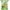 Color 5, variant on Rdsfhsp Welcome Summer Fall Sunflower Garden Flag Double Sided Linen 12" x 18" for Lawn Outdoor Home