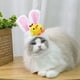 thumbnail image 2 of Sombrero decorativo para gatos, gorro con personalidad de gato, gorro con cabeza de conejo, sombrero con orejas pequeñas de Internet, 2 of 4