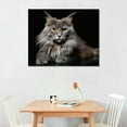 thumbnail image 2 of COMIO  Canvas Prints Wall Art Maine Coone Cat Pictures Posters Animal Photography Printing, Living Room Office Bedroom Decor With Framed, 2 of 4