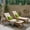 Teak, Yellow, Cream, variant on Noble House Maki Outdoor Acacia Wood Chaise Lounge in Teak and Gray (Set of 2)