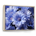 thumbnail image 2 of Designart "Cornflowers landscape II" Floral Floater Framed Canvas Wall Art, 2 of 7
