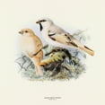 thumbnail image 4 of Calendar 2024-2025, Birds Wall Calendar, Monthly Calendar, 16 Month Hanging Calendar Sep 2024 - Dec 2025, 12x12 in., 4 of 5