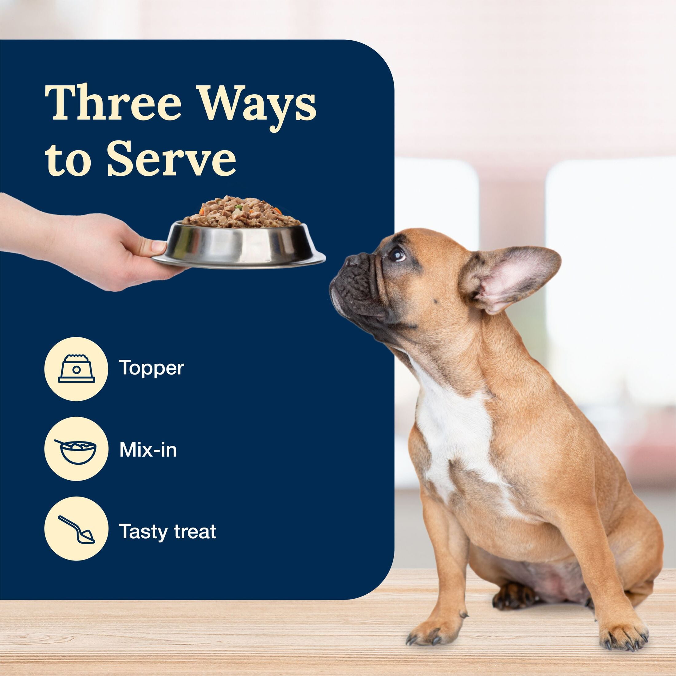 (12 pack) Blue Buffalo Delectables Natural Wet Dog Food Topper, Lamb Dinner 3oz