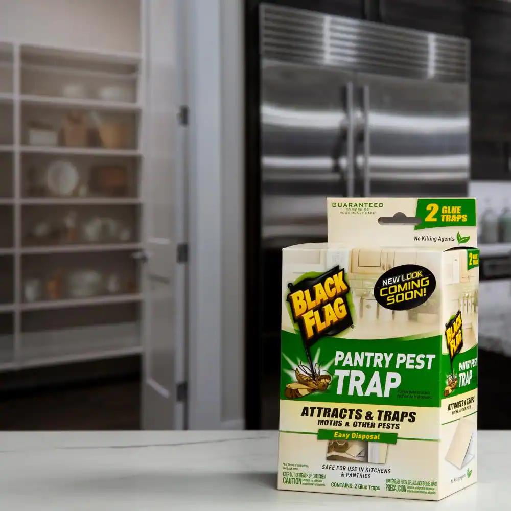 Black Flag Pantry Pest Glue Trap, 2 Count