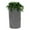 Light Granite, variant on Good Ideas Impressions Downton 50 Gallon Rain Saver - Light Granite