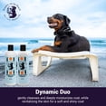 thumbnail image 4 of Frankie on the Beach The Dynamic Duo Shampoo Plus Conditioner Bundle 2x12oz bottles  Made in the USA, 4 of 5