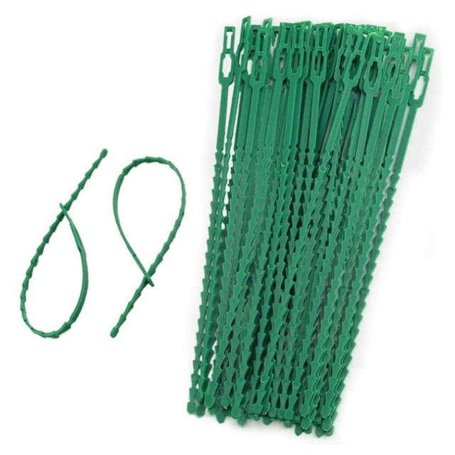 50 Bridas para Cables Jardín Bridas para Cables Jardín Bridas Espina Pescado para Jardinería (A) Corto