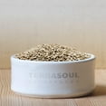 thumbnail image 5 of Terrasoul Superfoods Organic Hulled Sunflower Seeds, 1 Lb, Hulled | Fresh | Vitamin E, 5 of 7