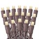 thumbnail image 1 of Luces mini LED en guirnalda Festive Living 100 blanco cálido 10,5 m, 1 of 8