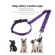 thumbnail image 3 of Hugtrwg Pet Car Seat Belt Lead Leash Arnés Ajustable Seguridad para Perro (púrpura), 3 of 8