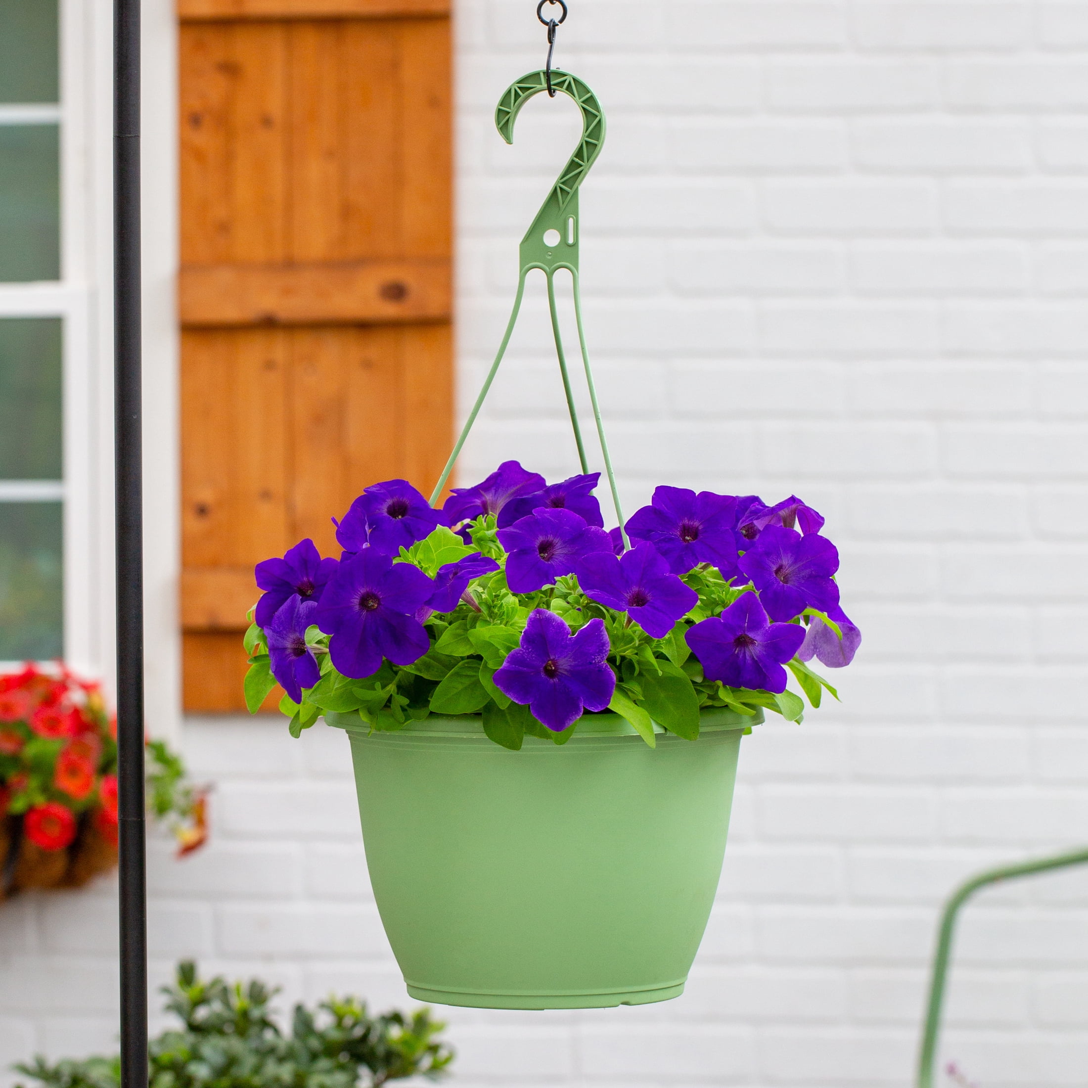 Expert Gardener 1.5gal Purple Petunia Live Annual Plant Hanging Basket Sun