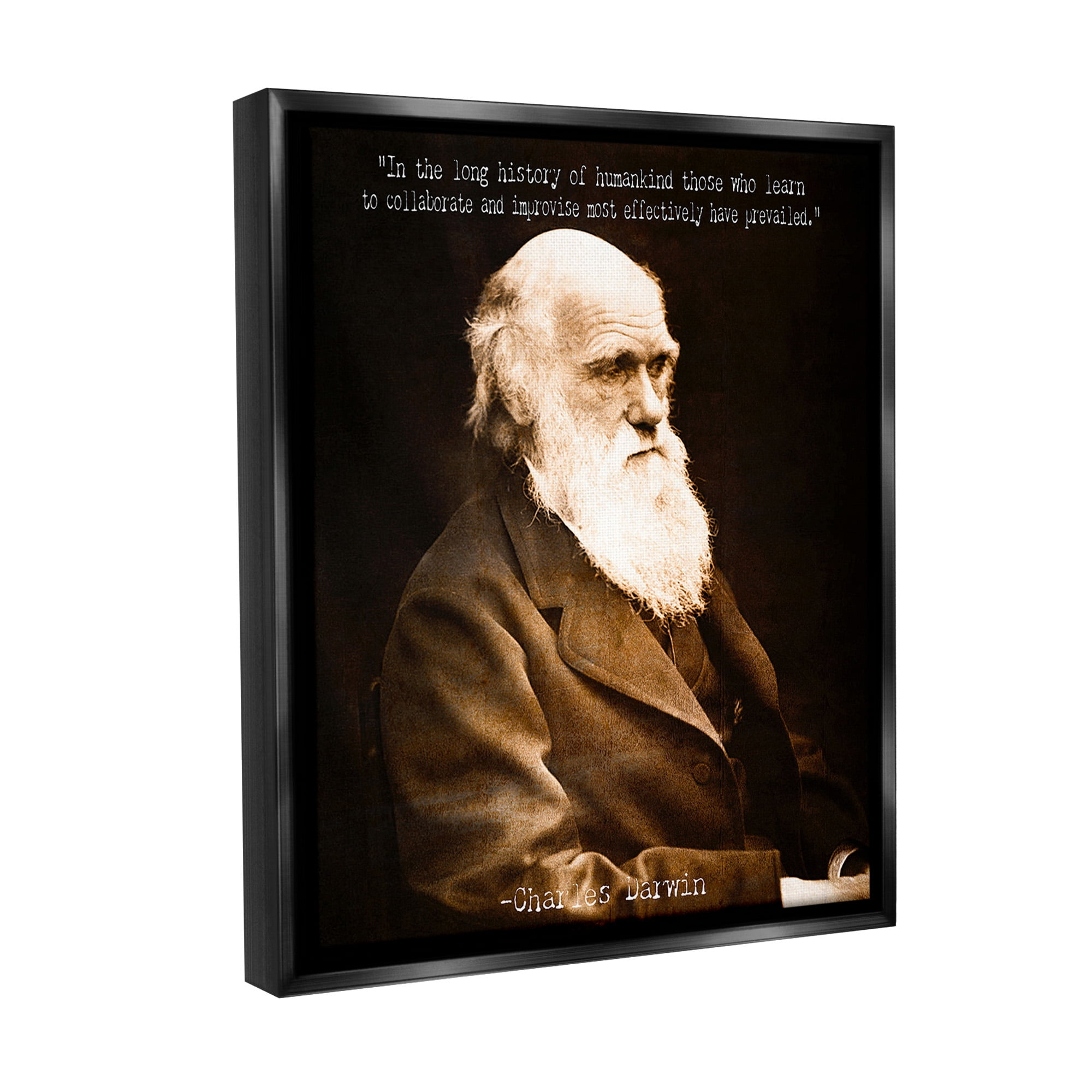 Stupell Industries Inspiring Darwin Quote Inspirational Painting Black Floater Framed Canvas Art Print Wall Art, 25 x 31