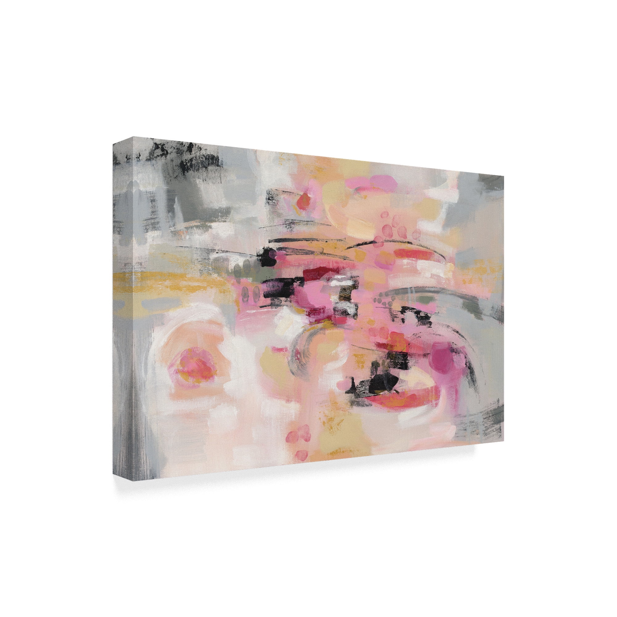Trademark Fine Art 'Haiku Colors' Canvas Art by Silvia Vassileva