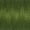 Olive, variant on Gutermann Sew-All Thread 110yds