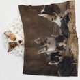 thumbnail image 6 of Naloa Cat Family Dog Blanket, 3 Sizes Cat Blanket for Indoor Cats Large Medium Small Dog Gifts-Large, 6 of 8