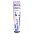 thumbnail image 1 of Boiron Aesculus Hippocastanum 30CH - Médicament Homéopathique - 4g (Env. 80 Granules), 1 of 6