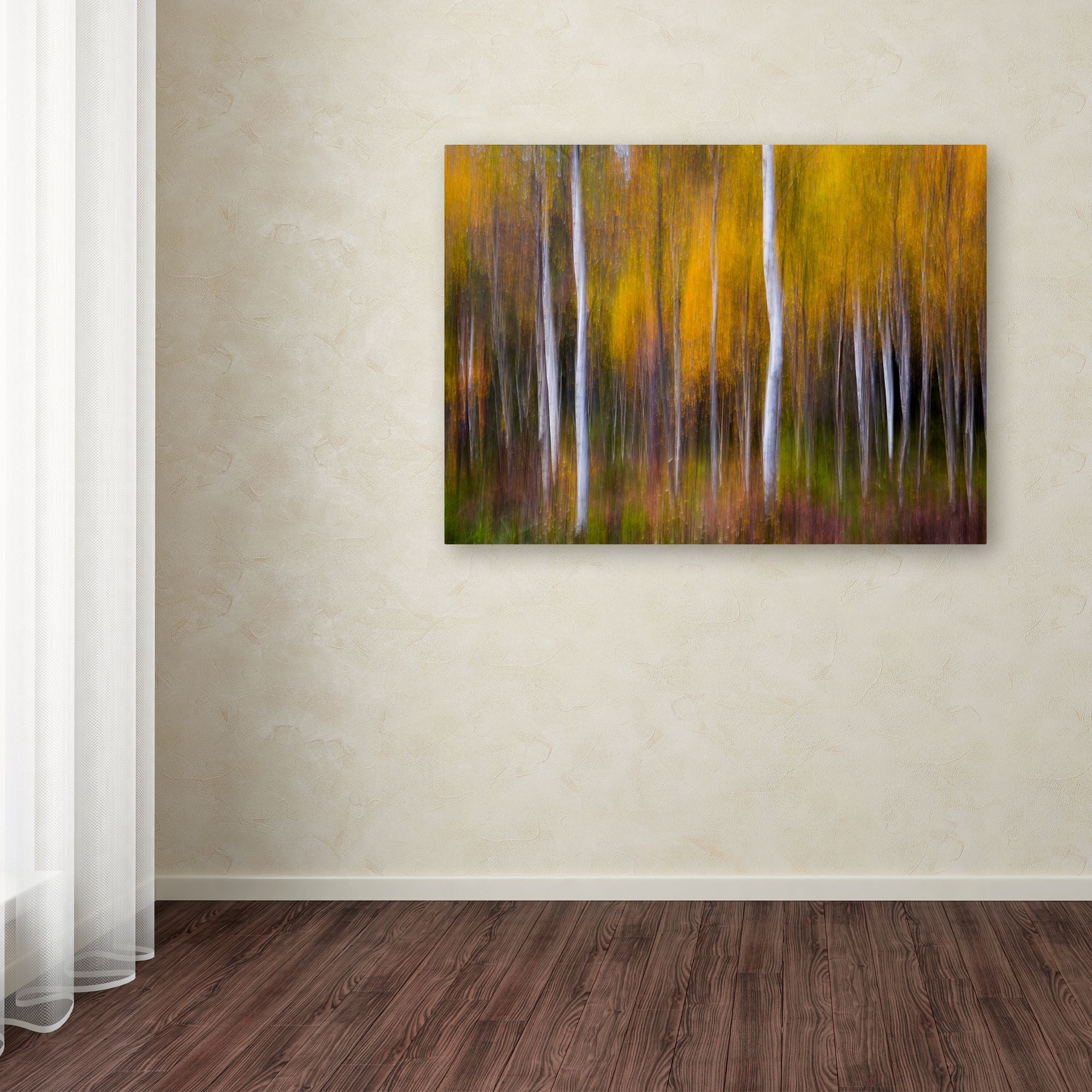 Trademark Fine Art 'Abstract Fall' Canvas Art by Andreas Christensen