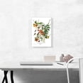thumbnail image 2 of ARTCANVAS Ruby Throated Humming Canvas Art Print by John James Audubon - Size: 18" x 12" (1.50" Deep), 2 of 9