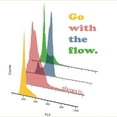 thumbnail image 3 of CafePress - Go With The Flow Cytometry T Shirt - Men's Classic Graphic T-Shirt, 3 of 4