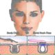 thumbnail image 4 of Cepillo y masajeador de limpiamiento facial sanos del depurador de cara del cepillo-silicona, 4 of 4