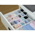 thumbnail image 1 of Mainstays 24 Compartment Drawer Organizer for Adult. Foldable Cabinet Closet Organizers and Storage Boxes for Storing Socks, Underwear, Ties, 1 of 6