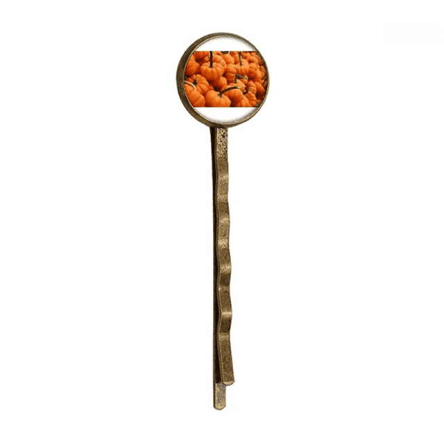 Photograph Fresh Pumpkin Picture Nature Retro Metal Hair Bobby Pin Headwear