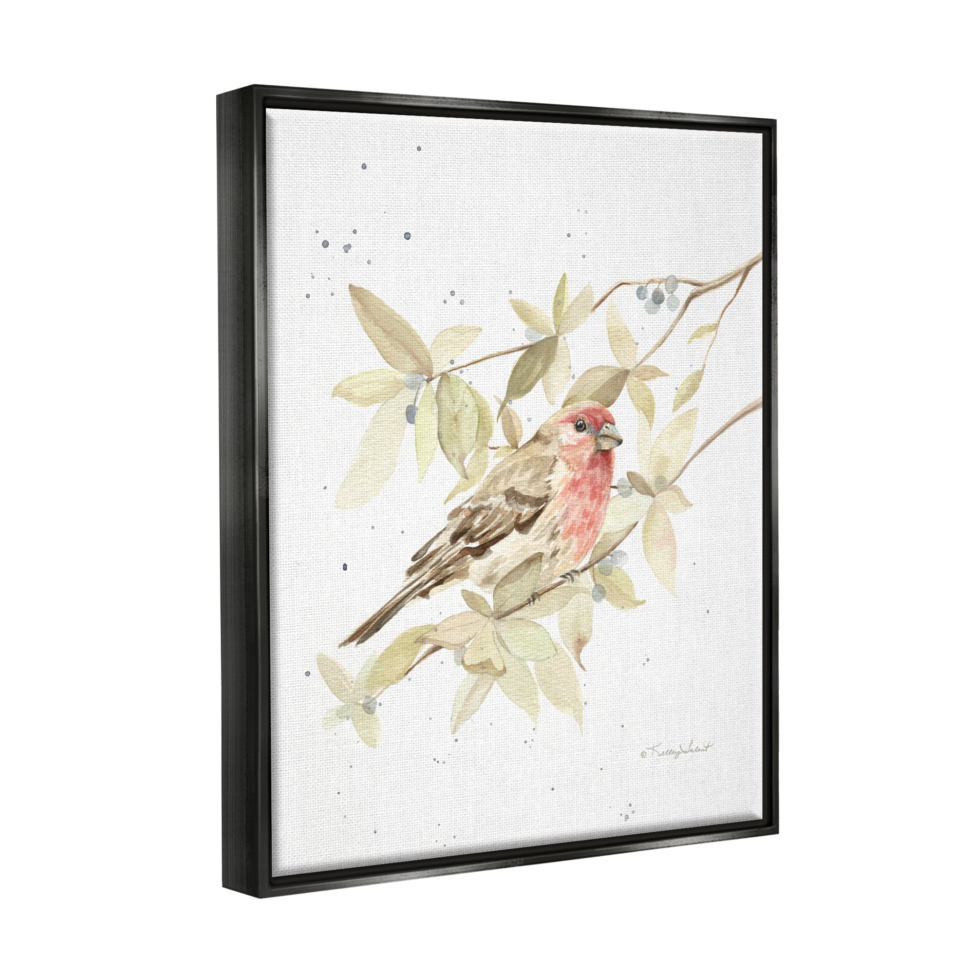 Stupell Industries Bird on Branch Watercolor Animals & Insects Painting Black Floater Framed Art Print Wall Art, 17 x 21