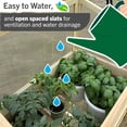 thumbnail image 3 of Wooden Raised Greenhouse with Potting Table, 3 of 13
