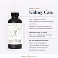 thumbnail image 5 of Quicksilver Scientific Kidney Care - Kidney Cleanse & Lymphatic Drainage Supplements - Astragaloside IV Extract, Zhu Ling, Goldenrod, Ferulic Acid, He Shou Wu & Dandelion Leaf (3.38oz / 100ml), 5 of 5
