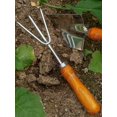 thumbnail image 4 of Juego de herramientas de jardinería ZHAOCHENG sembradora herramientas para exteriores cortacéspedes de acero inoxidable, 4 of 5