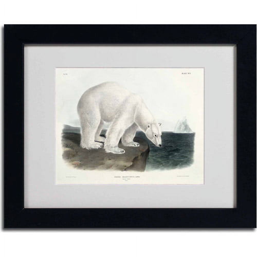 Trademark Fine Art "Ursus Maritimus Polar Bear" Canvas Art by John James Audubon, Black Frame
