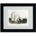 thumbnail image 2 of Trademark Fine Art "Ursus Maritimus Polar Bear" Canvas Art by John James Audubon, Black Frame, 2 of 3
