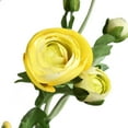 thumbnail image 2 of Artificial Ranunculus Flowers with Real Touch Stem Spray for Home Garden Decoration (White), 2 of 5