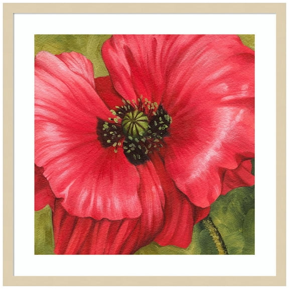 Amanti Art Vivid Poppy II Wood Framed Wall Art Print