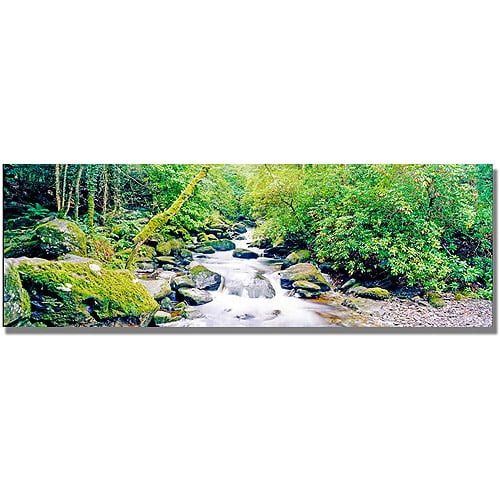 Trademark Art "Ireland Green" Canvas Wall Art by Preston