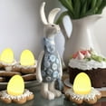 thumbnail image 4 of 12Pc Light Up Easter Eggs Table Decor, Farmhouse Rustic Easter Eggs Desktop Party Supplies Gift for Woman Easter Party Easter Decor Outdoor,Warm white+yellow+pink+green x3, 4 of 9