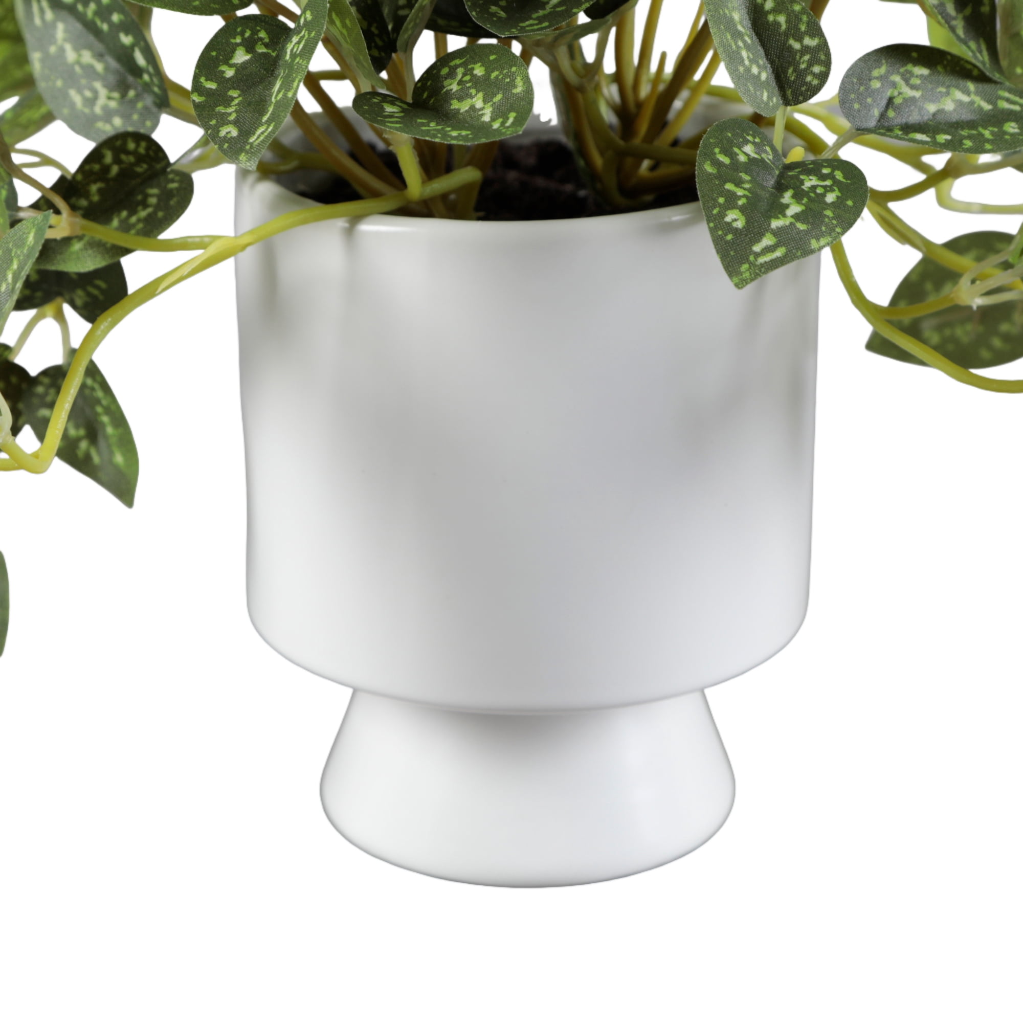 Artificial Trailing Leaf Plant in Ceramic Pot, 9 in H x 7.5 in W x 7.5 in D