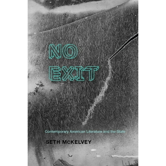 Cultural Frames, Framing Culture No Exit: Contemporary American Literature and the State, (Paperback)